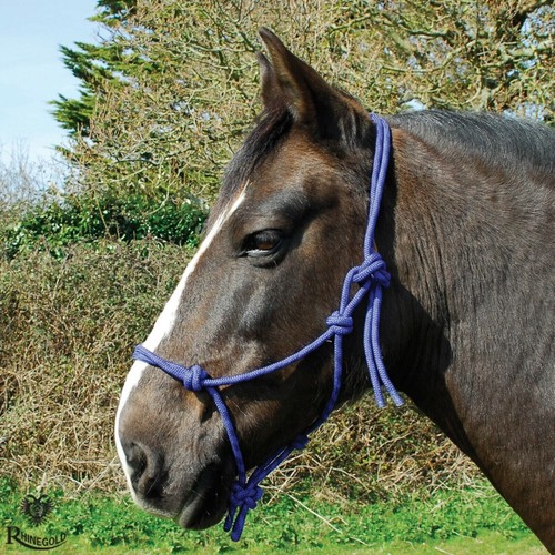 Rope halter headcollar natural - rope, halter/headcollar