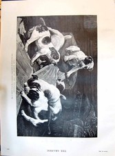 Old 1895 Battle The Standard