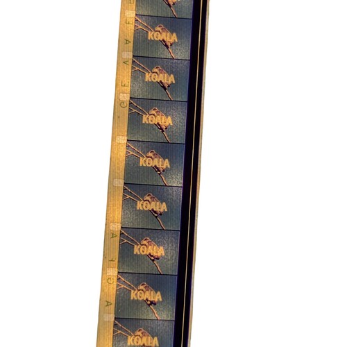 16mm movie koala harold - koala, j