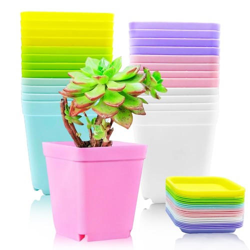 Haawooky pack colorful - pack,