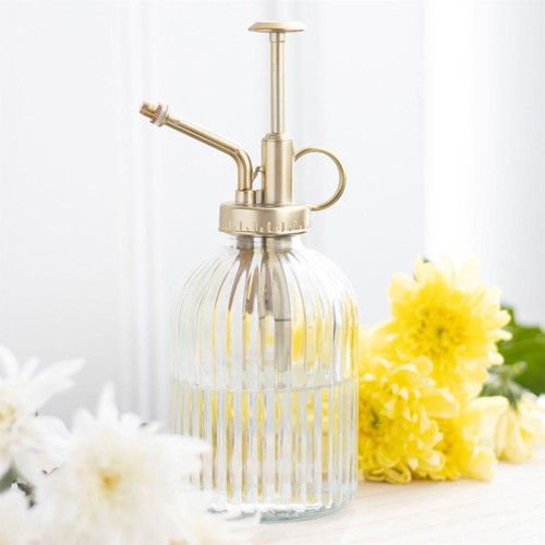 Ribbed glass plant - glass,