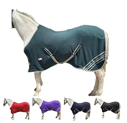 Horse blanket rug - blanket,