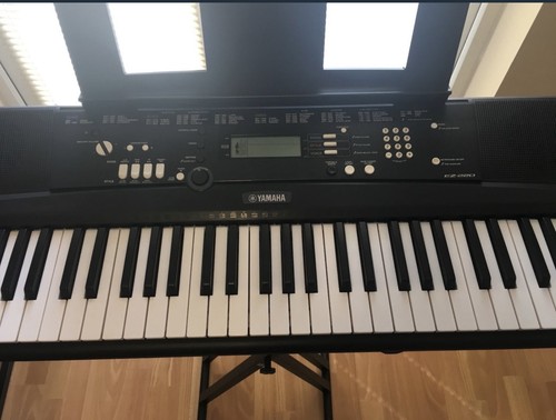 Yamaha 220 portable key - ez-220,