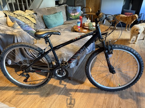 Apollo mountain bike for kids - mountain, kids.