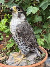 Vivid Arts Realistic Peregrine