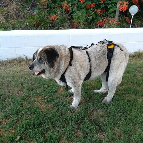 Help emup full body mobility - help’emup,