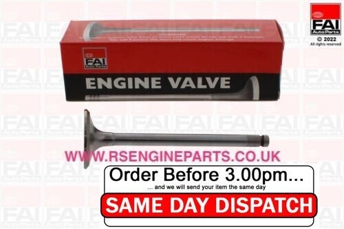 Exhaust valve fits - valve, for