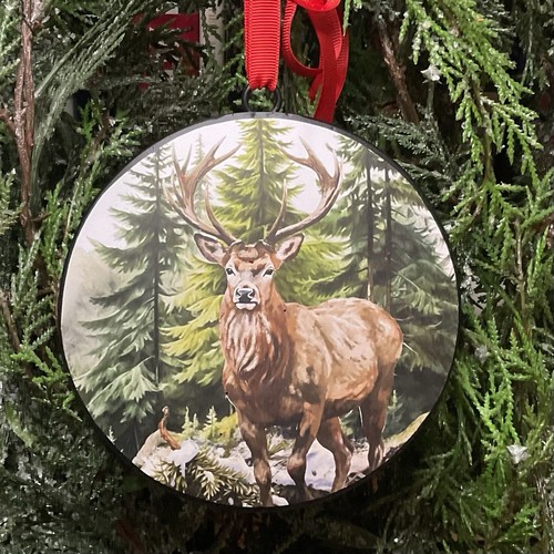 Rustic woodland stag - stag, deer