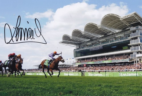 Horse racing christophe - racing,
