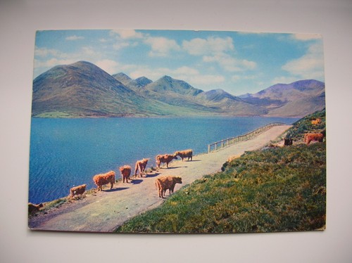 Skye postcard red - skye,