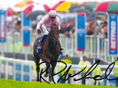 Horse racing ronan whelan - racing,
