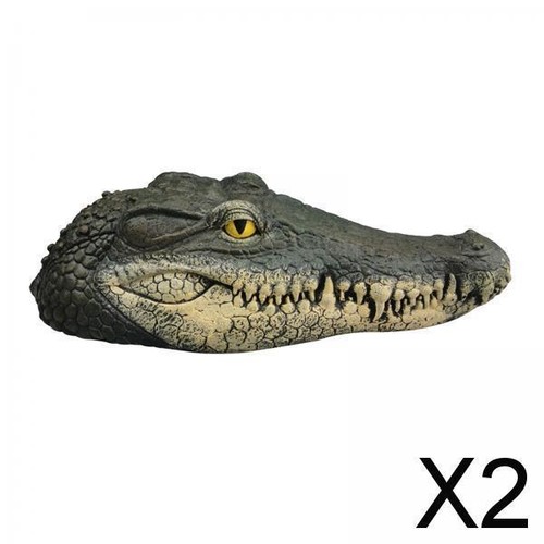 Floating head alligator - 2x,