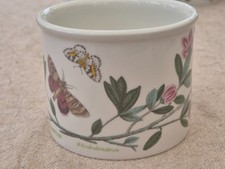 Portmeirion Botanic Garden teacup Lepidotum Rhododendron 1982 backstamp