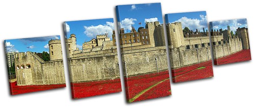 Tower london poppies - tower,