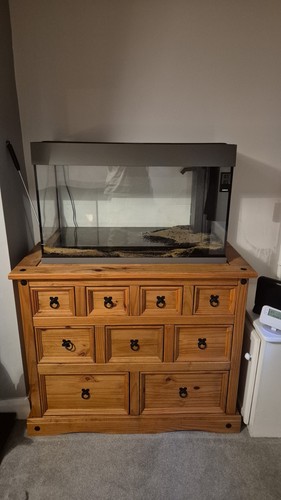 New 125l juwel aquarium - juwel,