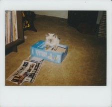 Snapshot Vintage Photo