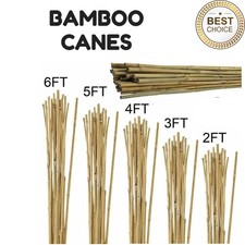 2ft–6ft Heavy Duty Bamboo Canes Strong Poles Garden Plant Flower Support Sticks