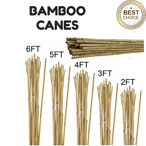 2ft 6ft heavy - 2ft–6ft, bamboo