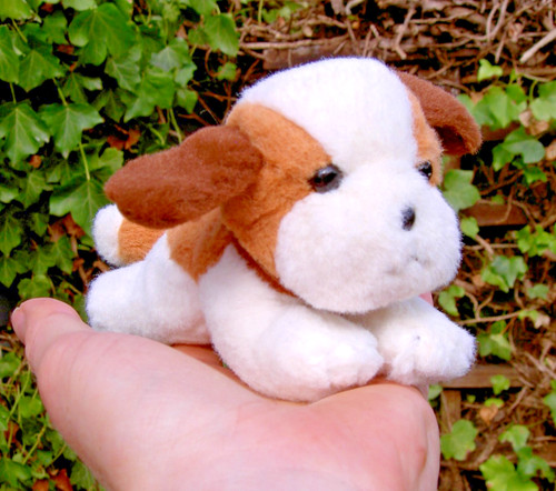 Small mini very cute beagle - very,