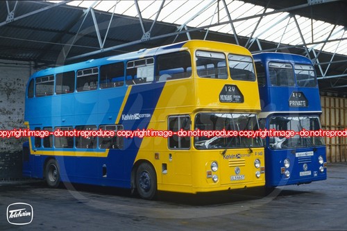 Bus photo kelvin - bus,