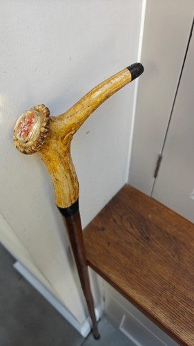 Hiking stick with antler