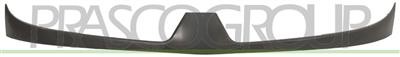 Front external central grille - external,