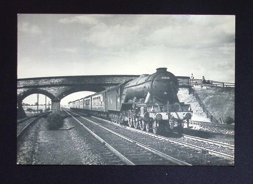 Pacific 60036 colombo - pacific,
