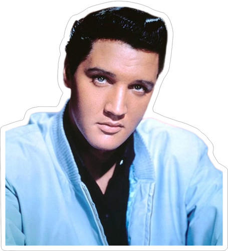 Elvis sticker photo - elvis,