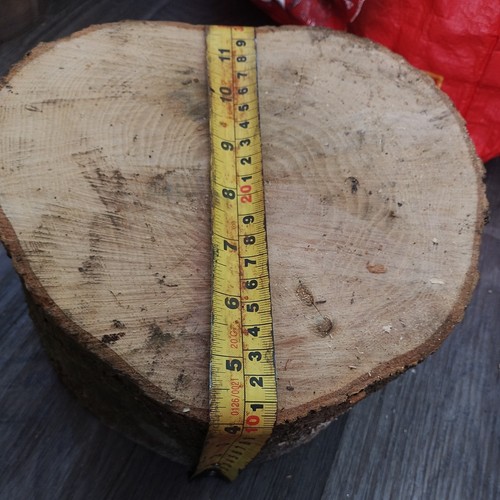 Ash wood chopping block - ash,