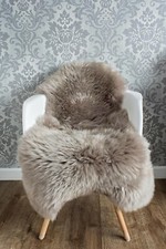 Beautiful Oyster Natural