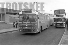 35mm black and white negative - 35mm,