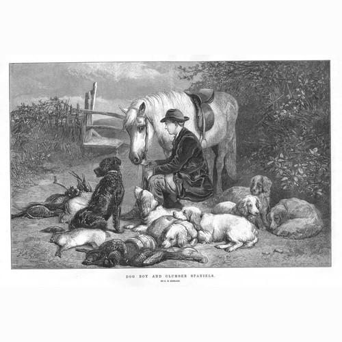 George bouverie goddard - goddard, dog
