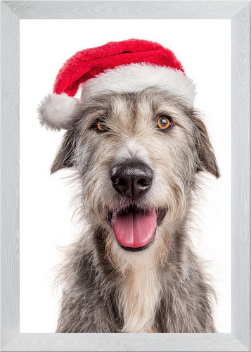 Irish wolfhound dog with santa - irish,