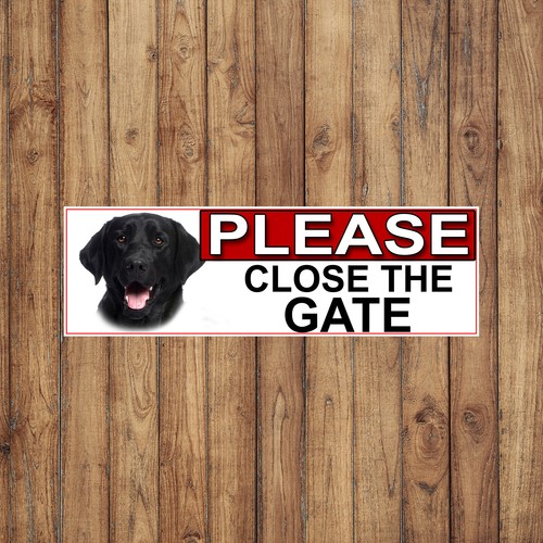 Black labrador please - black,