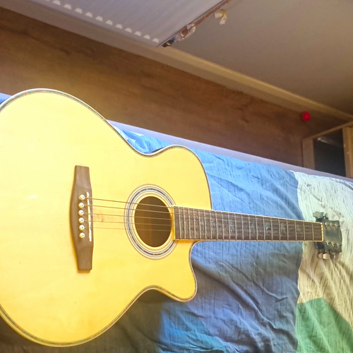 String cutaway acoustic - 6-string,