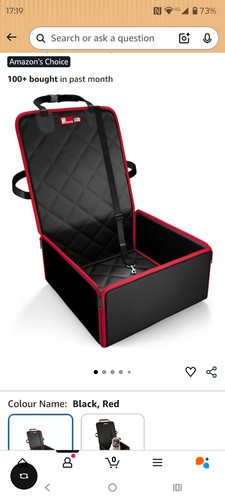 Dog car seat - dog,