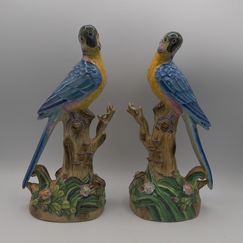 Andrea sadek blue yellow - sadek, 2