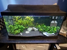 100Litre Freshwater Fish Tank
