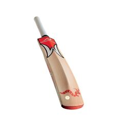 WOODWORM iBAT MENS CRICKET BAT