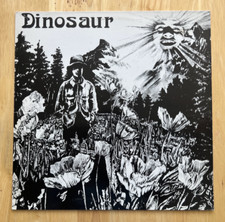 RARE Dinosaur Jr 1985 12"