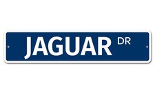6365 SS Jaguar 4" x 18"