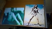 2x Sexy Pin Up Girl erotic poster wooden Picture photo bundle Raquel Welch Loana