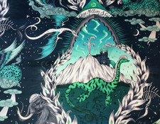 CLARKE AND CLARKE CURTAIN