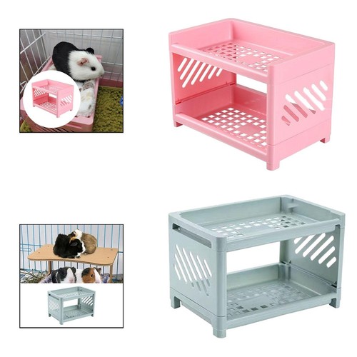Guinea pig bed rabbit - guinea,