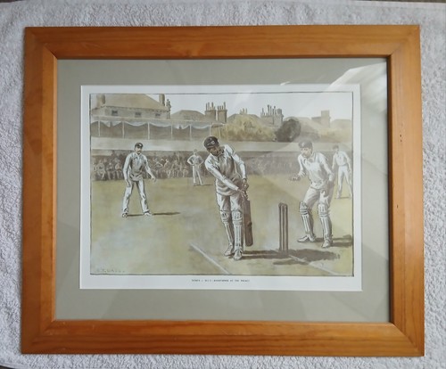 Framed cricket print titled - cricket,