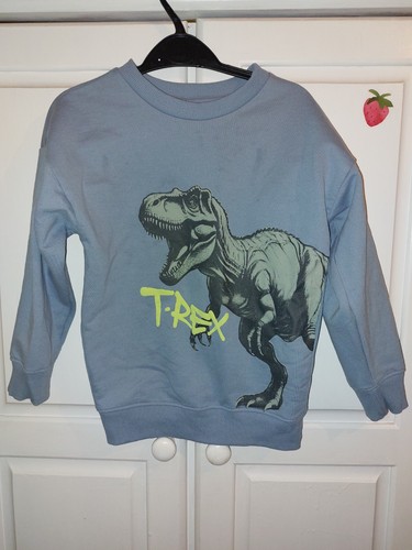 Boys dinosaur jumper blue age - boys,