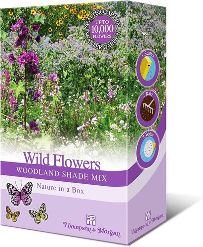 Wildflower seeds 15g mix - seeds,