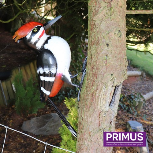 Primus hand finished - primus,