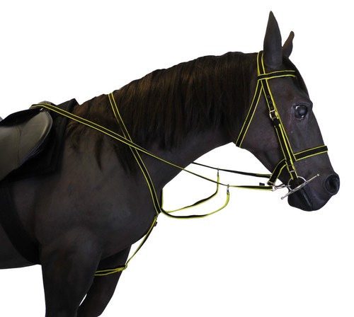 Official libby bridle reins - libby's, bridle,