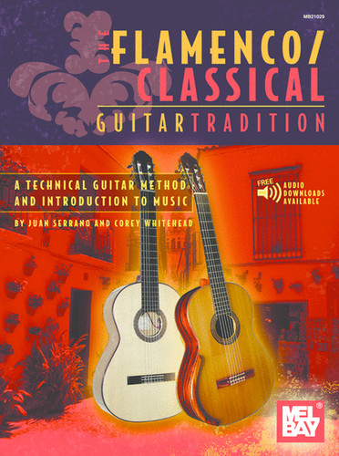 The flamenco classical - the, guitar